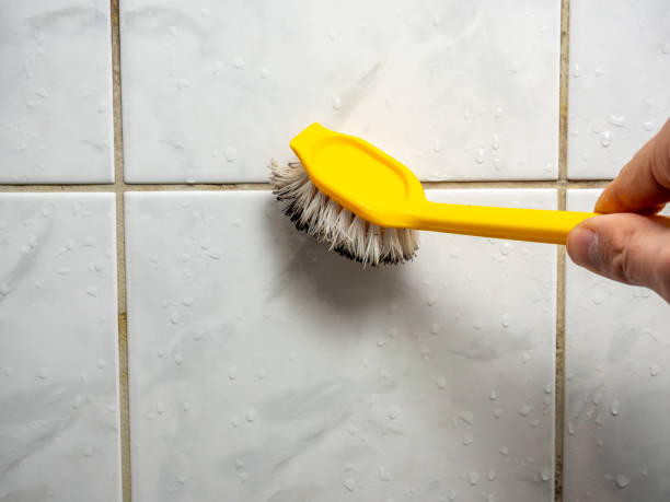 Best Emergency Mold Removal  in Eagle Mountain, UT