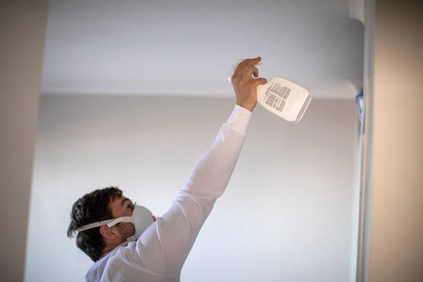 Best Toxic Mold Removal  in Eagle Mountain, UT
