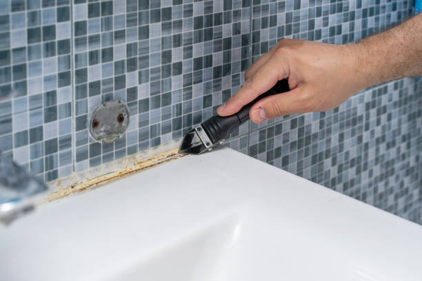 Certified Mold Removal in Eagle Mountain, UT