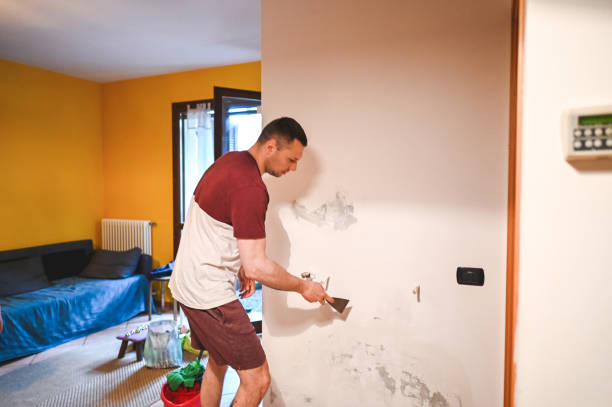 Best Black Mold Removal  in Eagle Mountain, UT